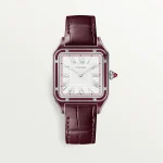 Cartier Santos Large Model Dumont Platinum Limited Edition WGSA0053