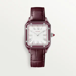Cartier Santos Large Model Dumont Platinum Limited Edition WGSA0053